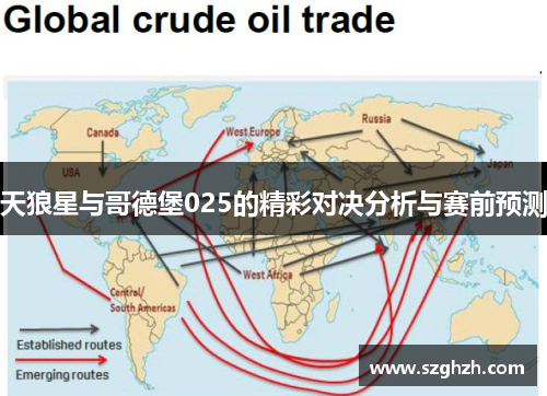 天狼星与哥德堡025的精彩对决分析与赛前预测