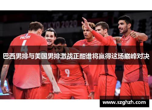 巴西男排与美国男排激战正酣谁将赢得这场巅峰对决